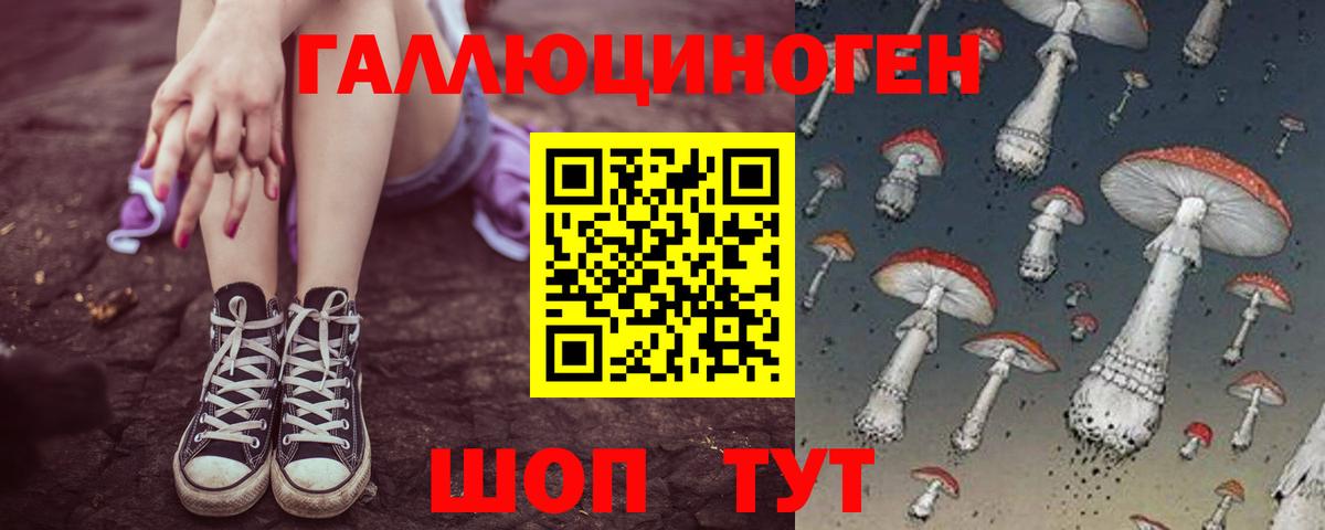 Галлюциногенные грибы мухоморы Норильск